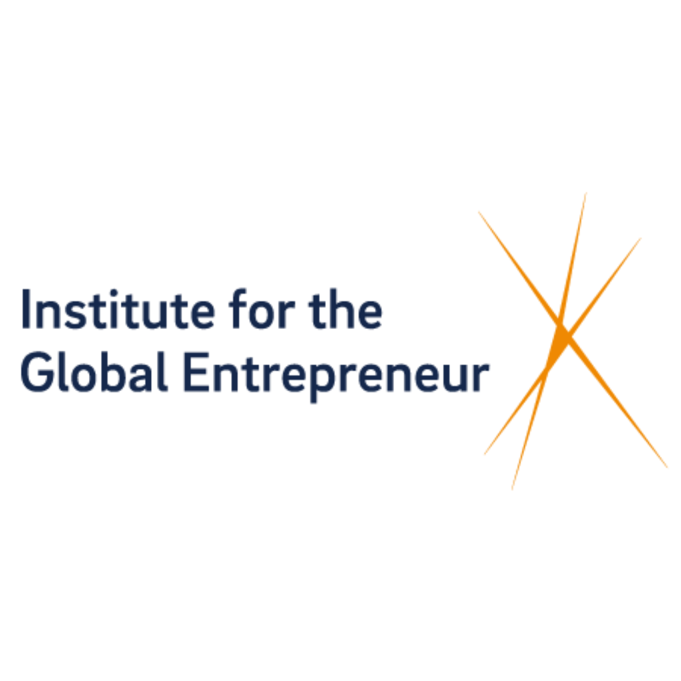 Institute for the Global Entrepreneur